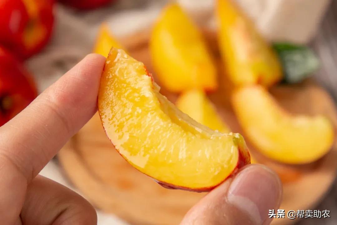 又脆又甜的油桃真好吃,油桃脆甜多汁爽口