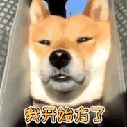 狗狗中毒能治愈吗,狗狗中毒牙龈会变黑吗