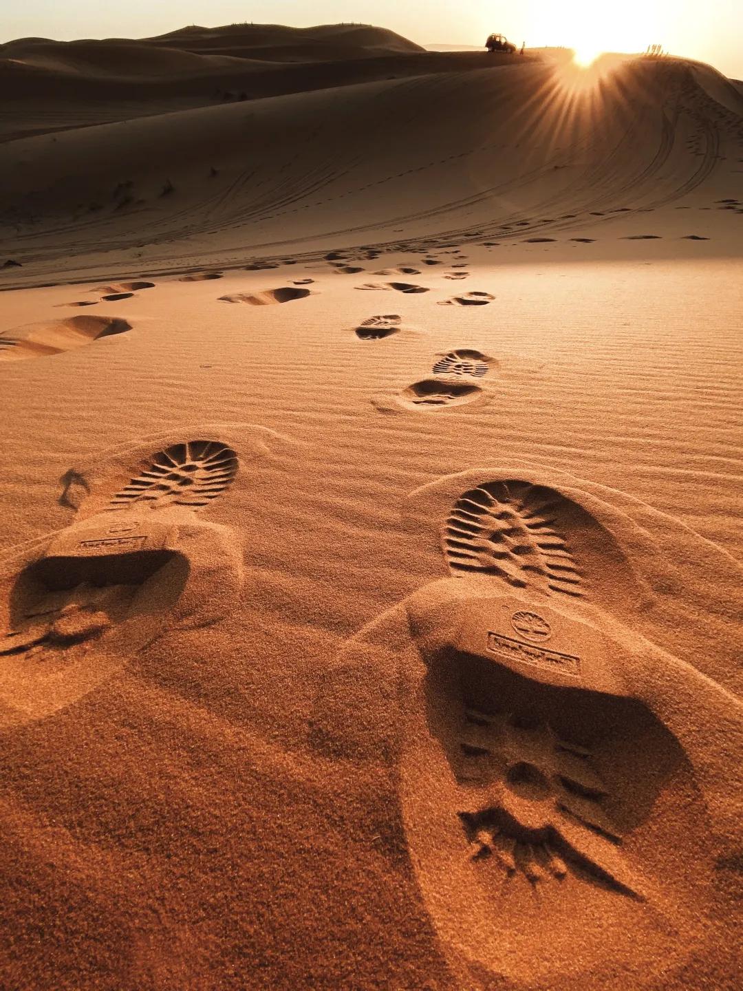 iphone相机操作指南广角镜头篇,iphone相机操作指南3.0