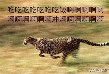 杭马半马和全马奖牌一样吗,杭马2023半马奖牌