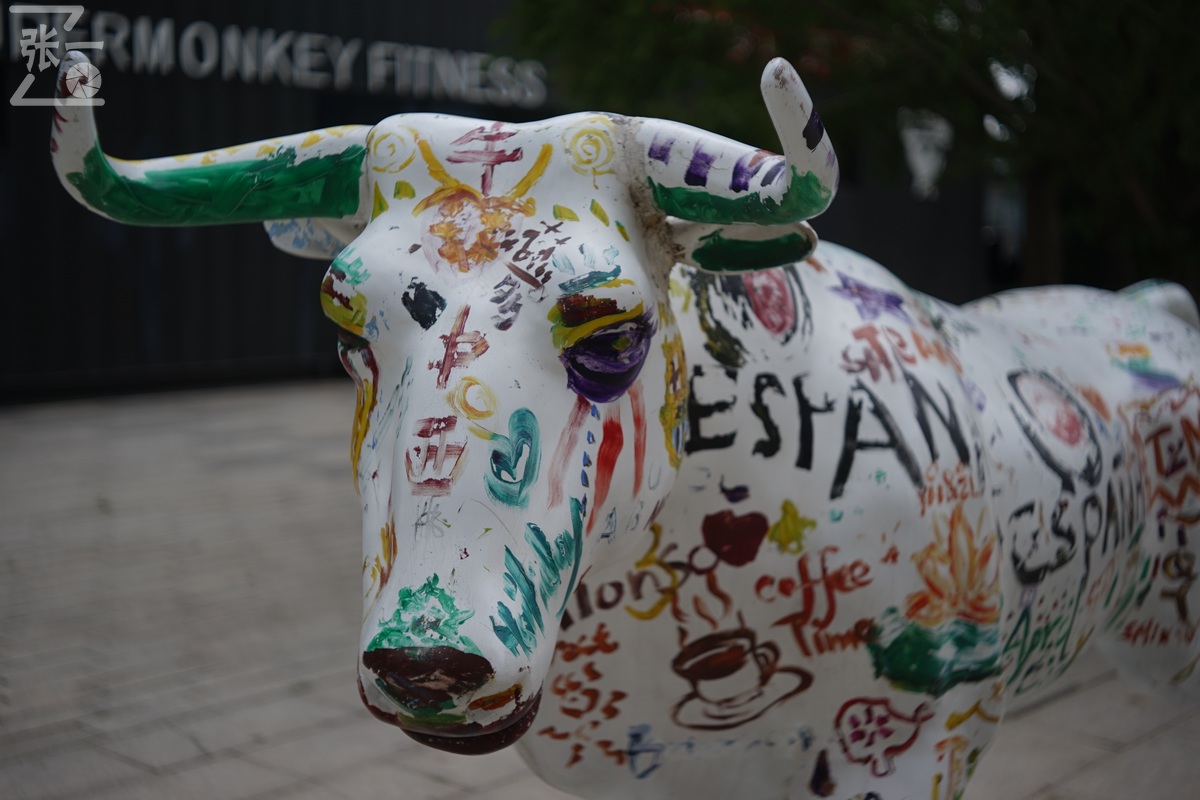 适合索尼a7m4的50定焦镜头测评,索尼a7m4镜头24-105f4测评