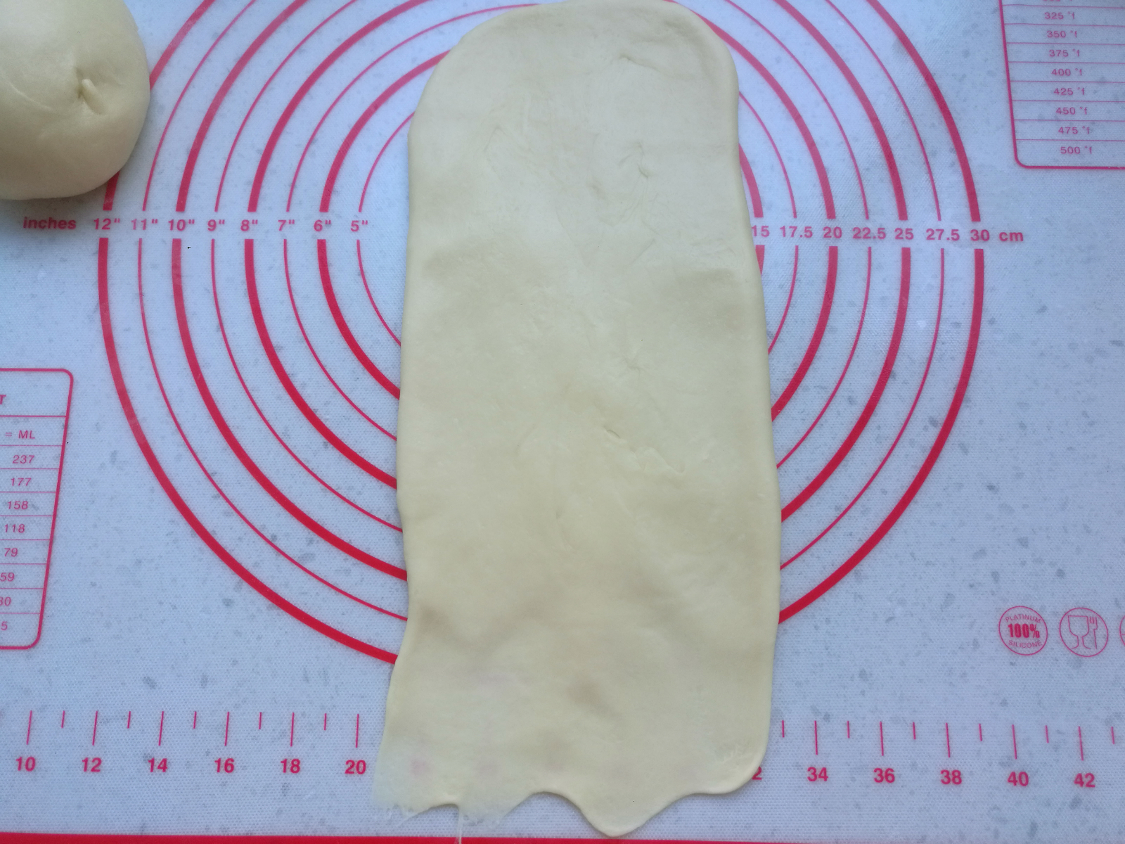 一次发酵的椰蓉吐司,一次发酵葡萄干吐司