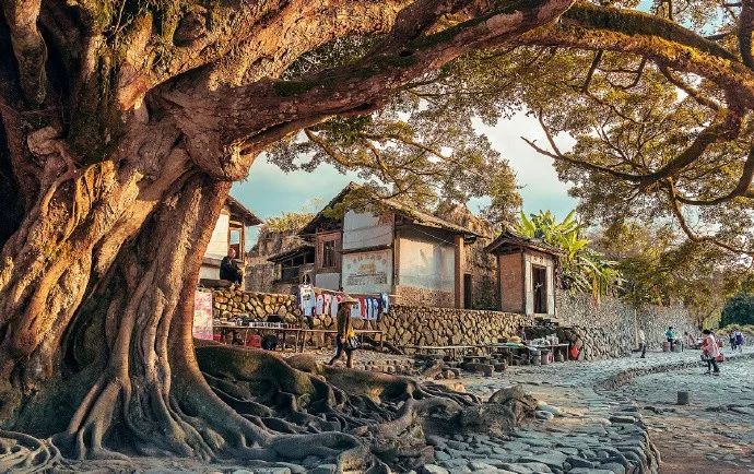 国学经典50句做人做事必看,为人处世的国学经典语录