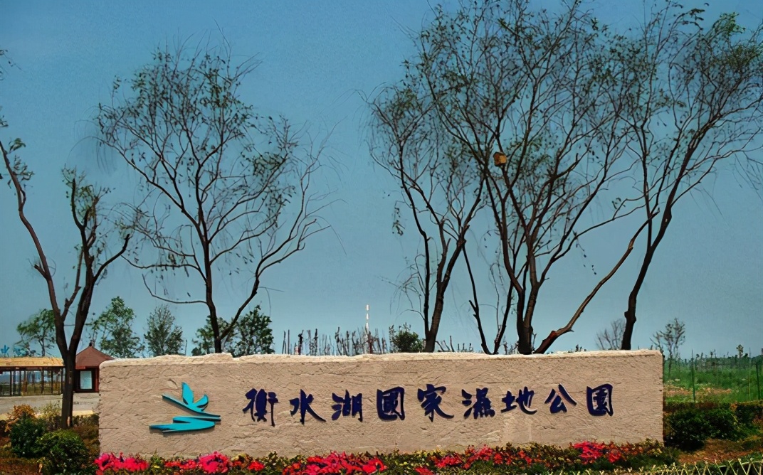 飞天奖衡水举行,飞天奖在衡水举办原因