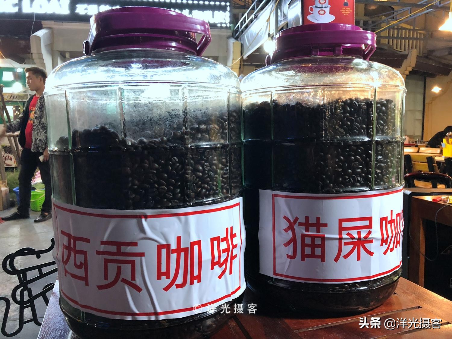 去越南下龙湾玩为什么都要自费,越南下龙湾优惠