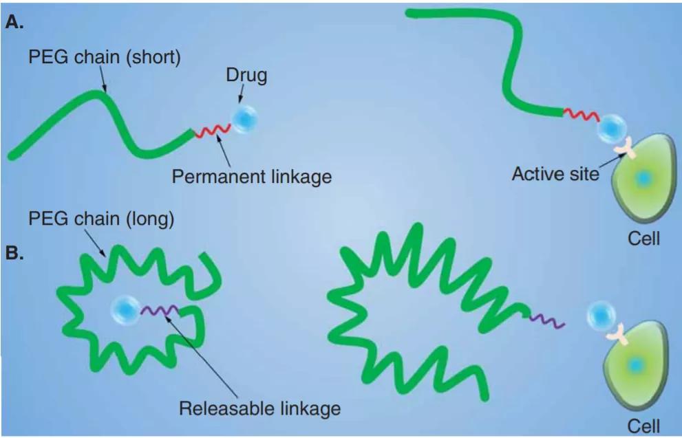 生物药物分析网课,生物药物分析和化学药物分析区别