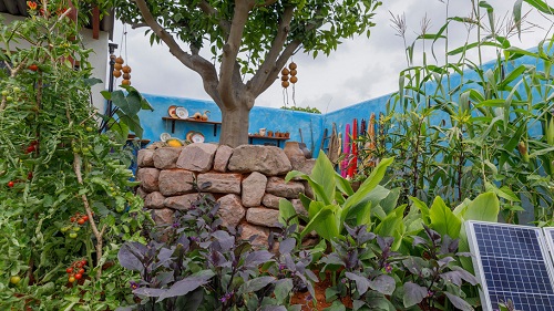 切尔西花展举办,2020年切尔西花展抢先看