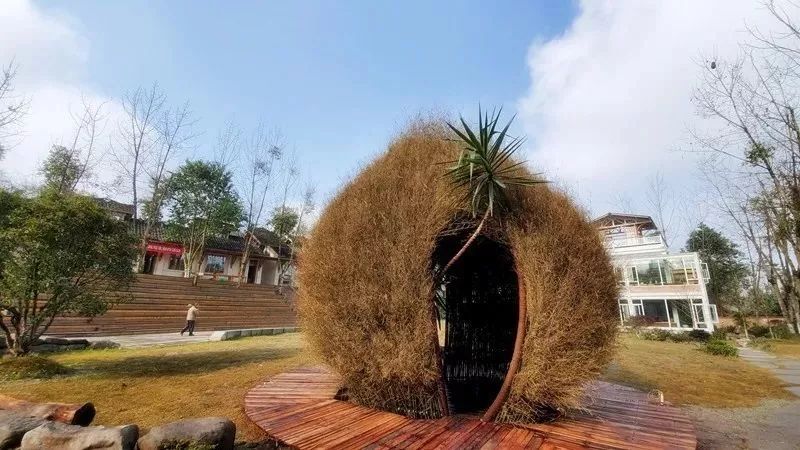 九莲小学办学特色,新津九莲小学