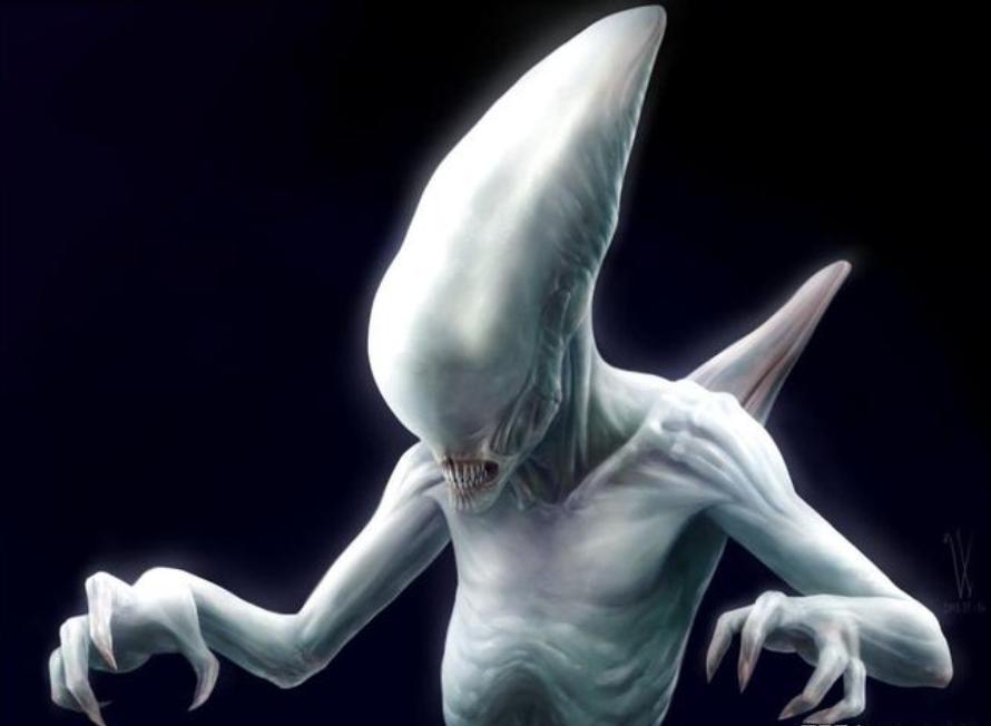 寮傚舰vs閾佽鎴樺＋娣卞害瑙ｈ,涔愰珮閾佽鎴樺＋vs寮傚舰