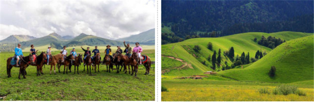 椋為┌鏂扮枂,椹伴獘鐤嗗煙鏃呮父