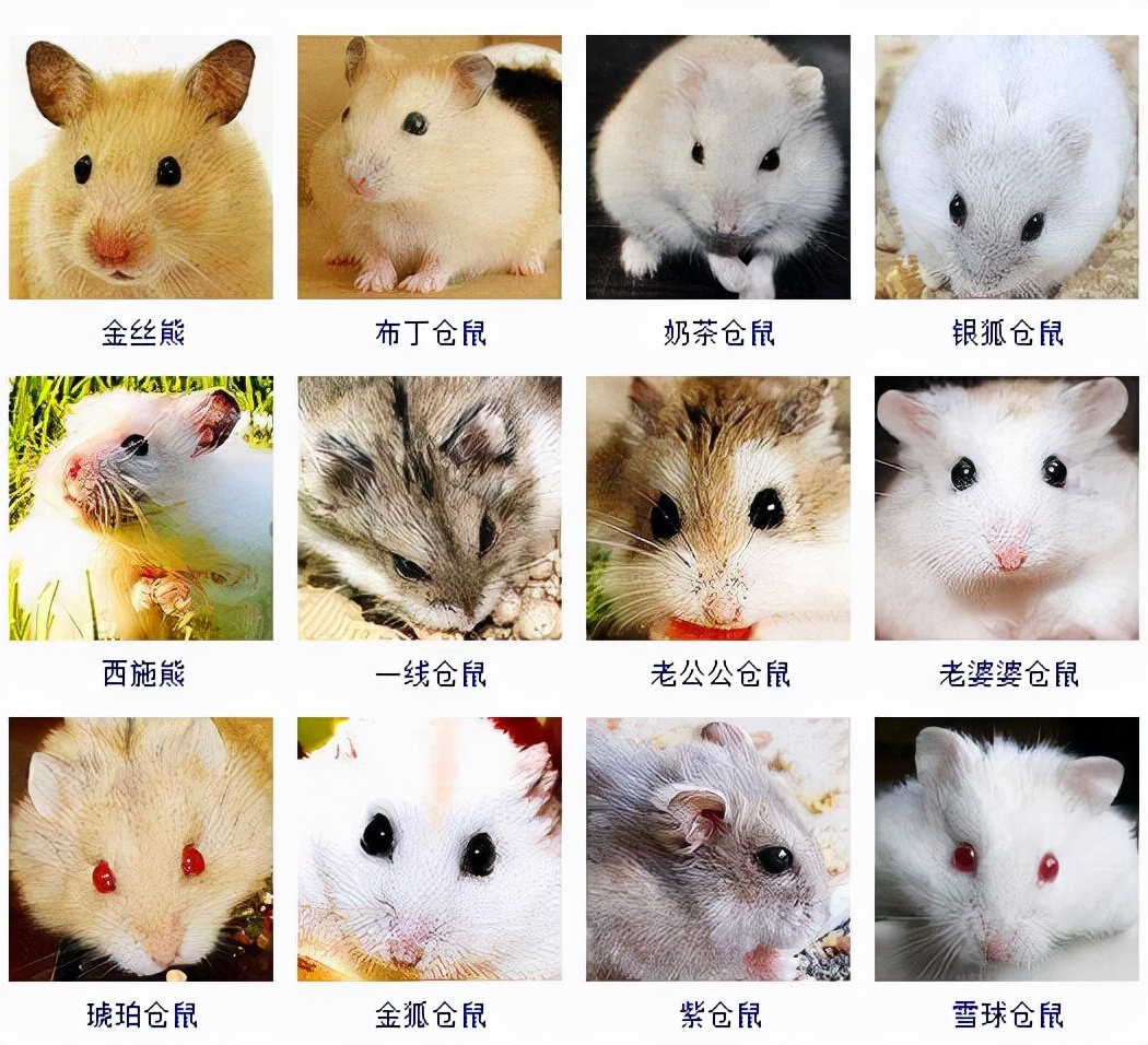 男子上厕所时被蛇咬伤,男子上厕所马桶竟然窜出蛇