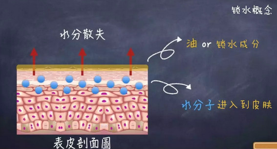 堪比科颜氏平替泥膜,堪比科颜氏白泥