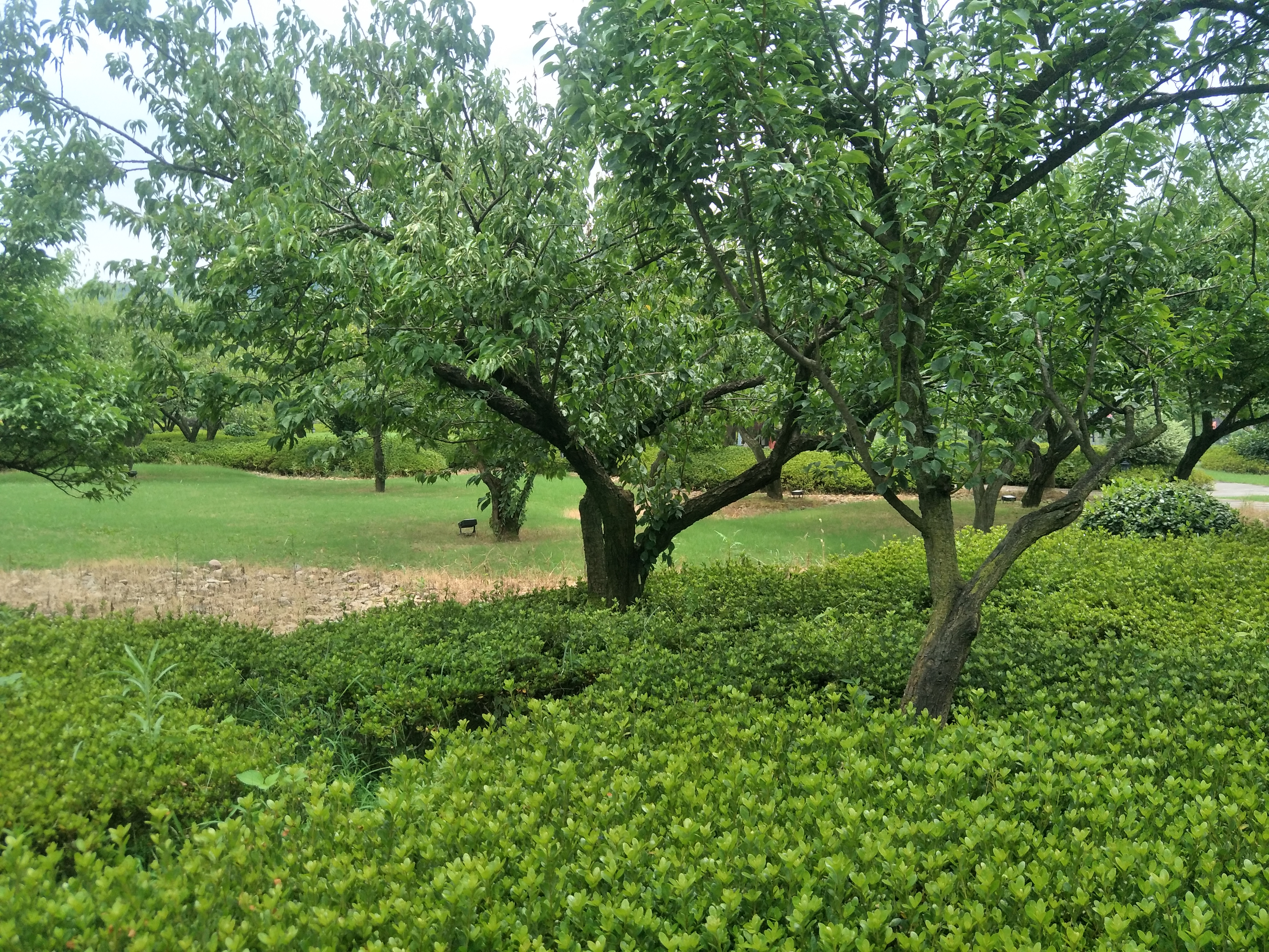 嵊州旅游攻略自由行,嵊州旅行攻略