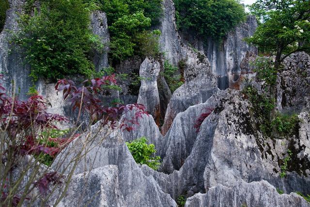 小平故里广安风景,小平故里到华蓥山有多远