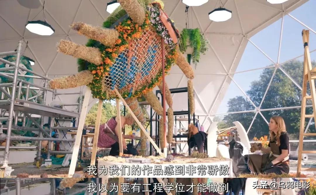 这也能拍出花?网飞又开挂了,每集都让我惊掉下巴