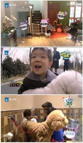 家有婴儿猫咪怎么办,家有宠物猫对婴儿有影响吗