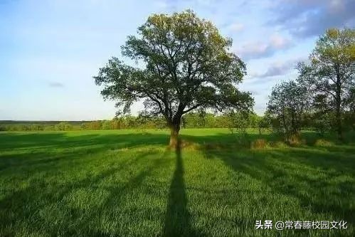 绿色校园文化整体设计方案,重庆学校文化建设设计创意