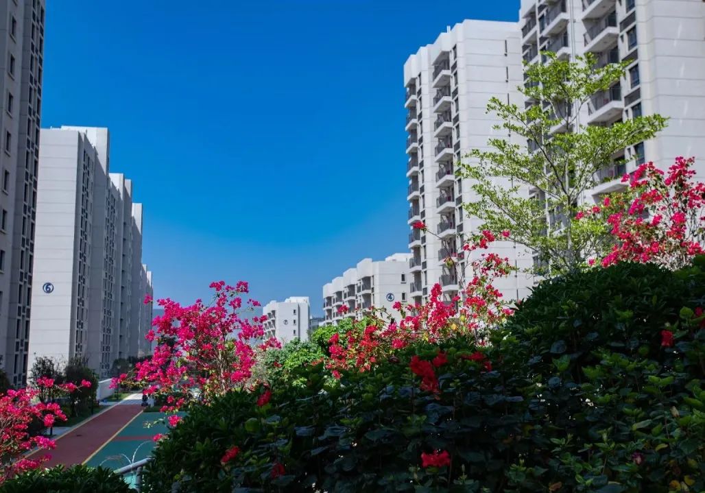 厦门塘边地铁社区什么时候交房,旧貌换新颜小区