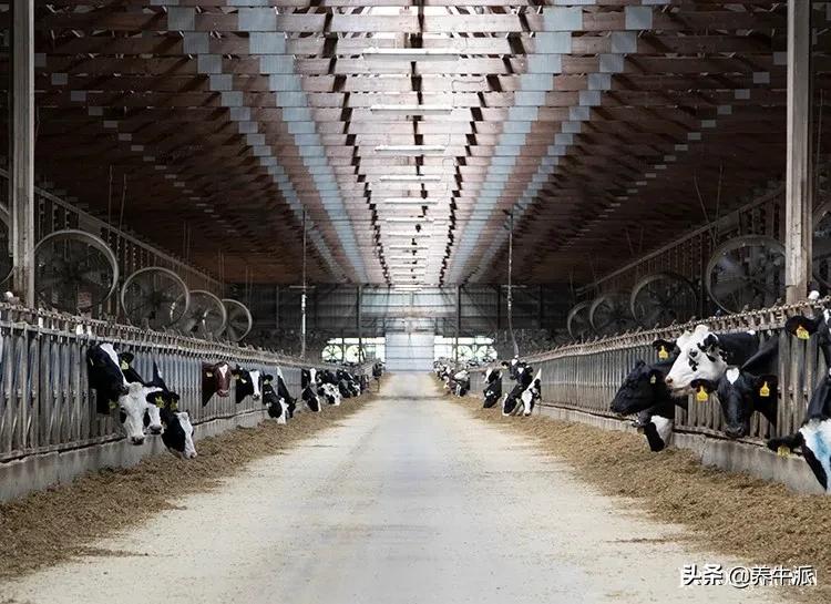 豆粕和大豆哪个贵,豆粕和菜籽粕哪个好