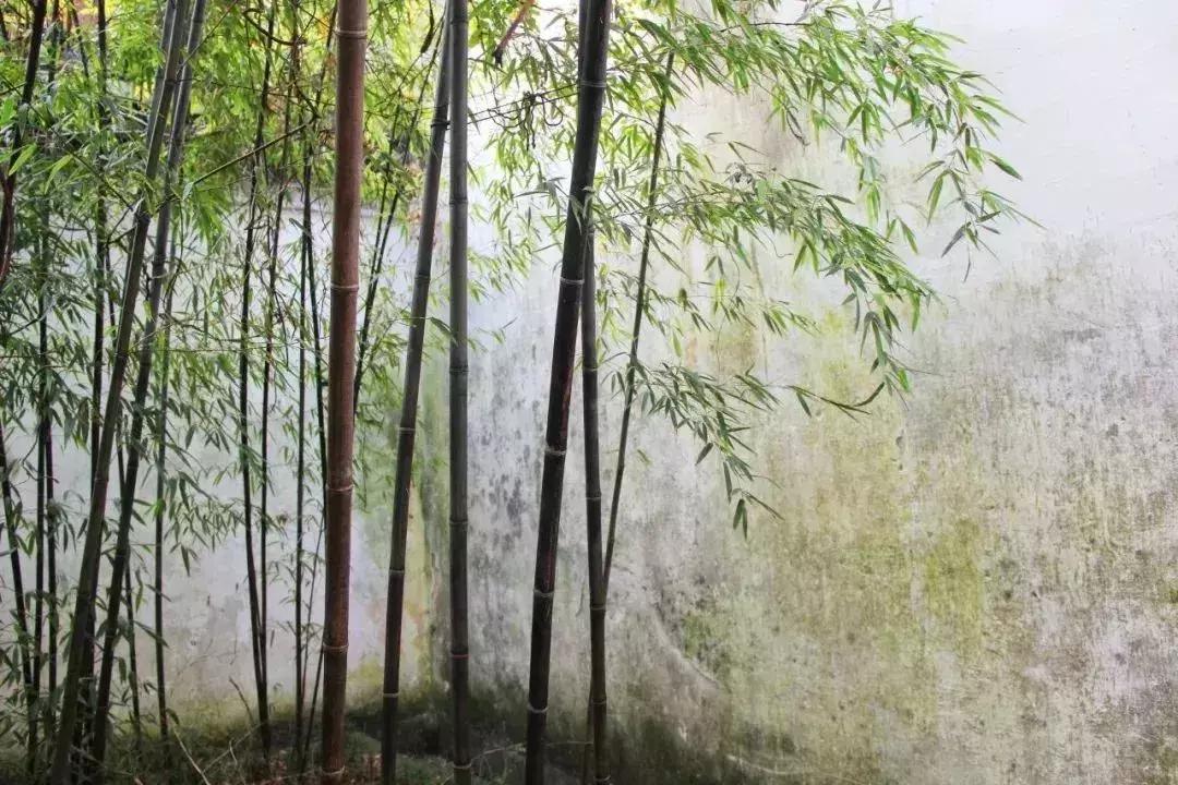 最美十首夏日诗词,收藏50首夏日古诗词带你清凉一夏