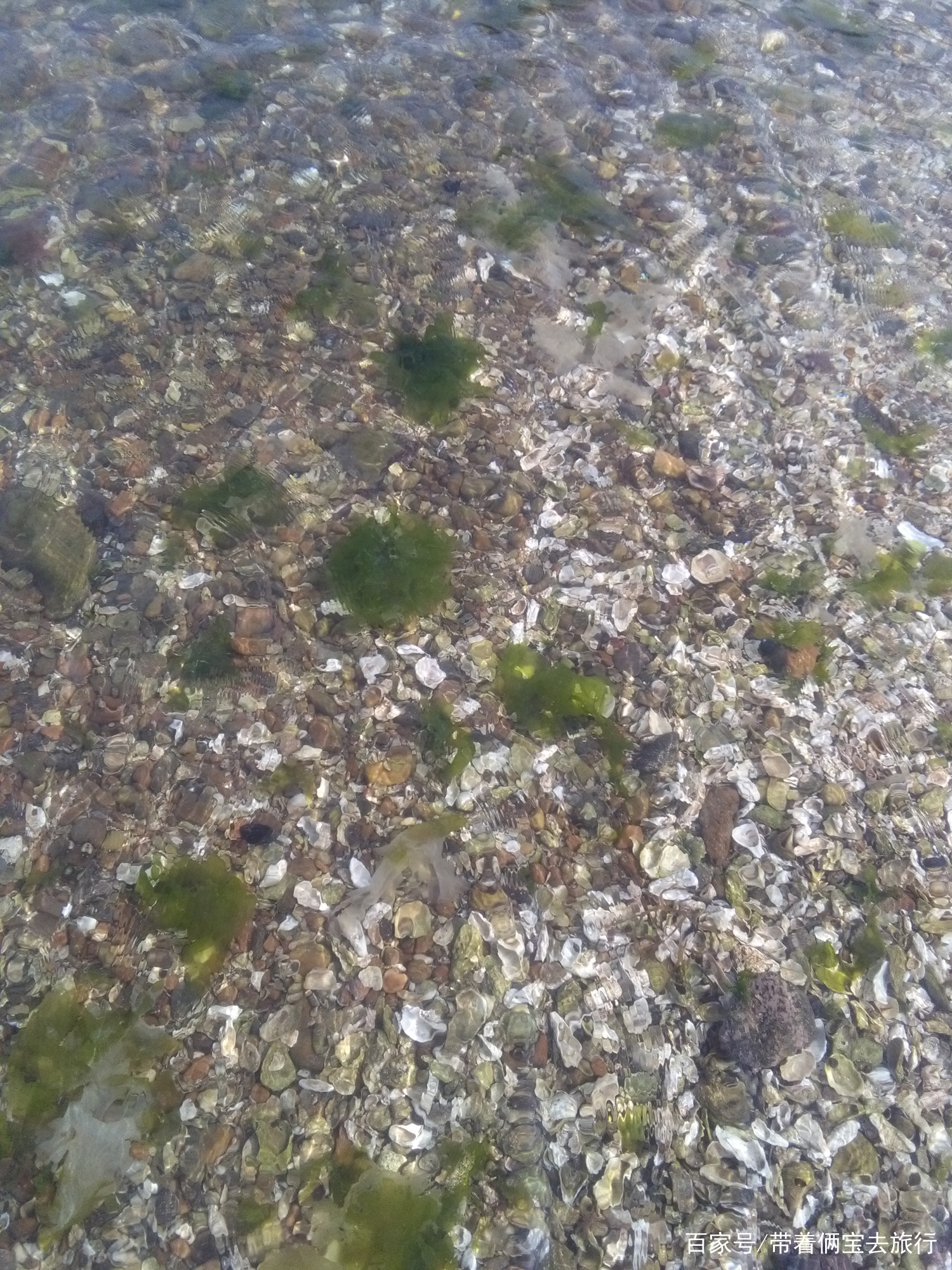 山东的海岛有哪些,山东最美海岛是哪里