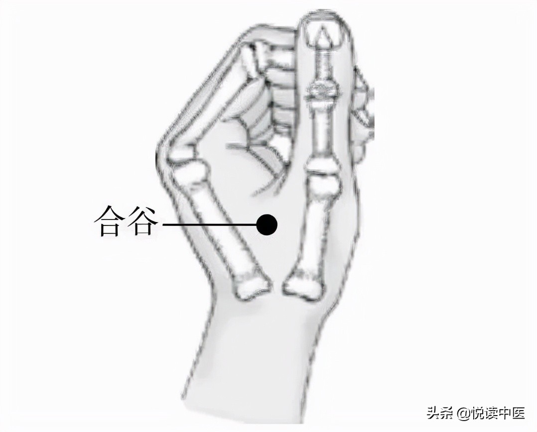 眉冲穴有啥美容养颜的功效,最好的美容养颜的穴位