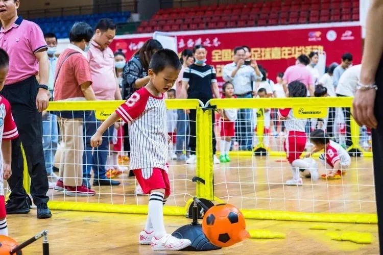 派迪茵训练器,派迪茵射门训练器