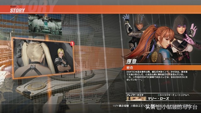 生死格斗6特色游戏有哪些,生死格斗6对战模式