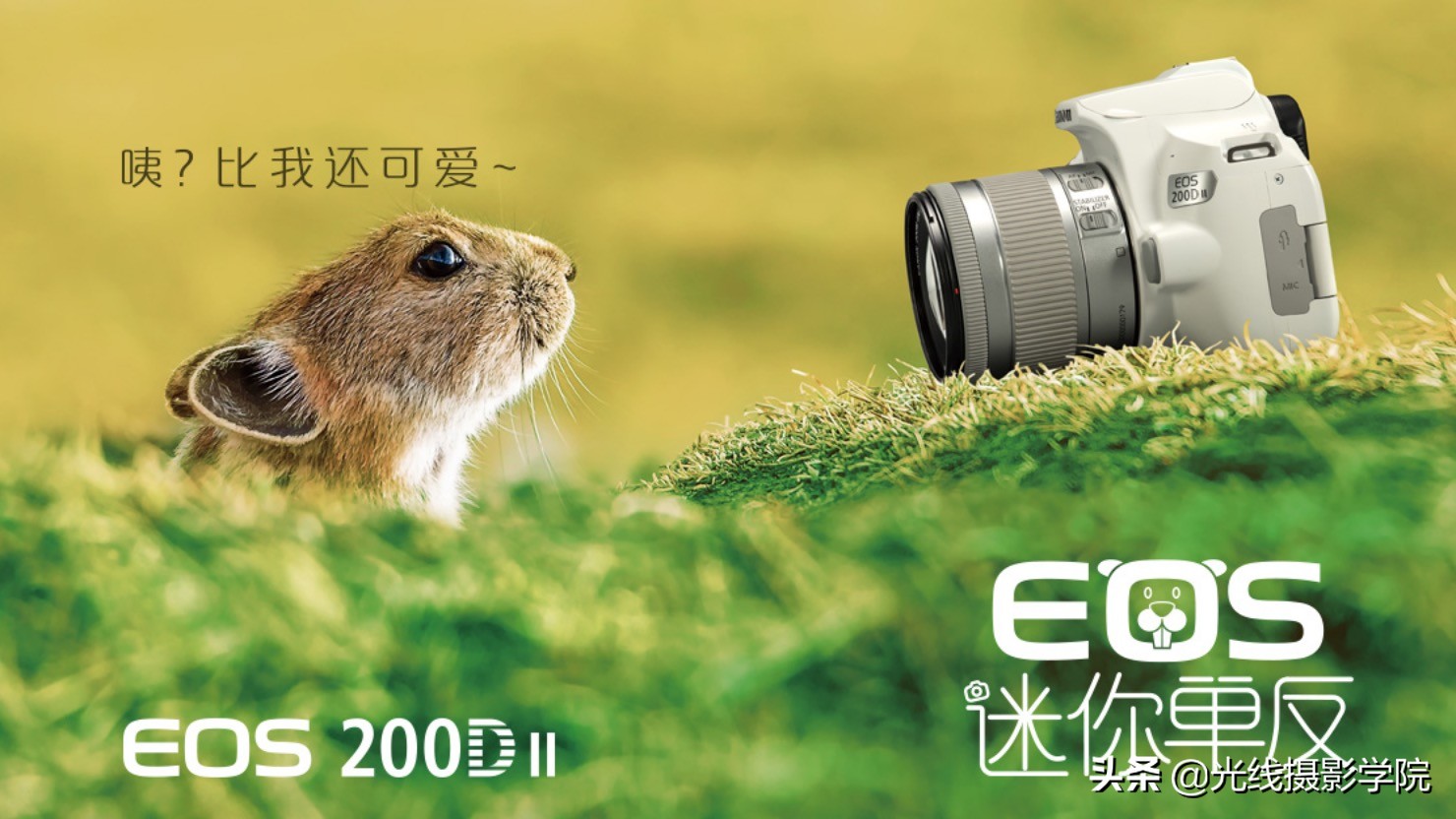 2021年佳能值得买的相机,2021佳能值得入手的微单