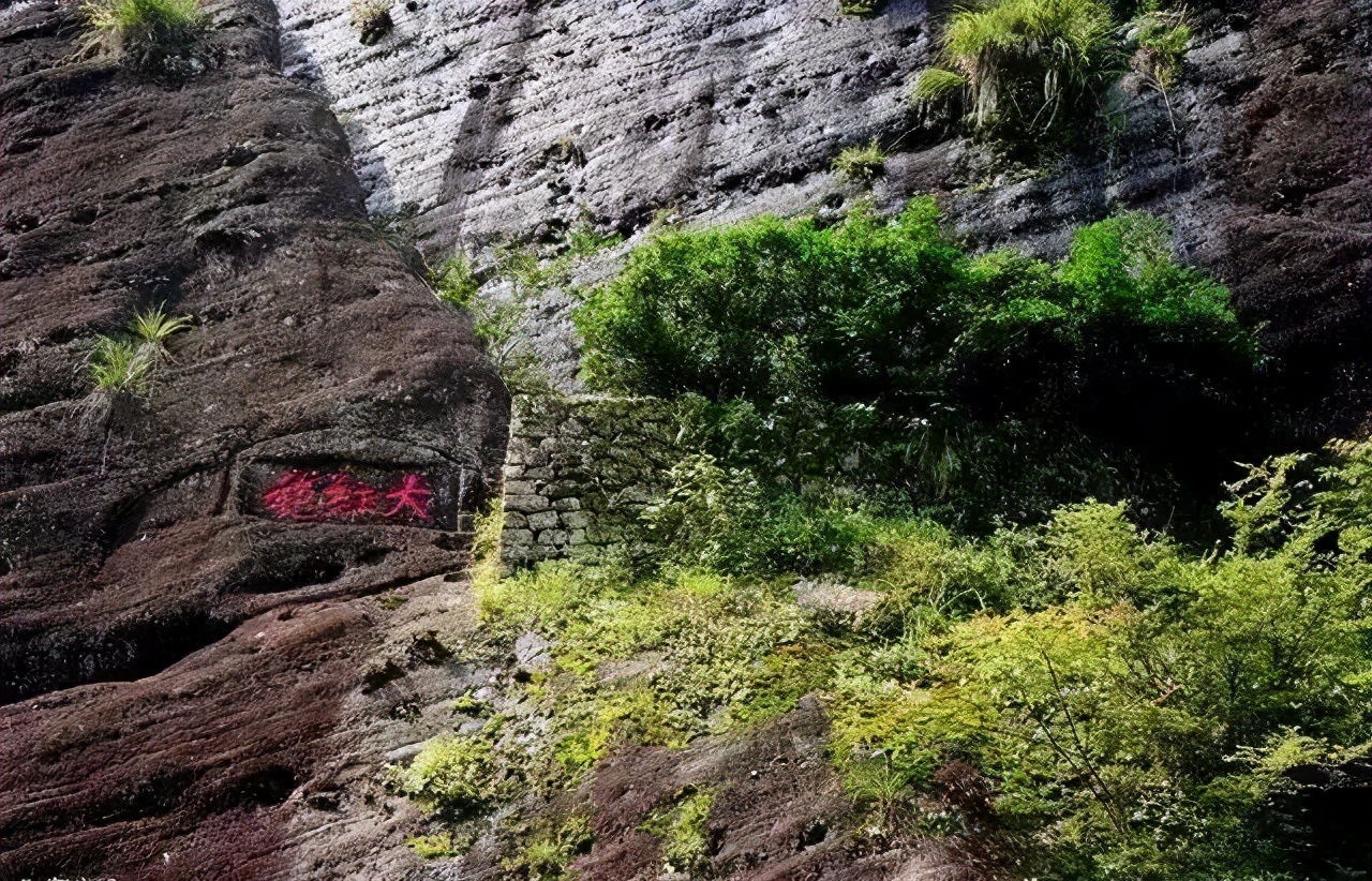 这份泡茶笔记值得收藏,武夷岩茶基本知识有哪些