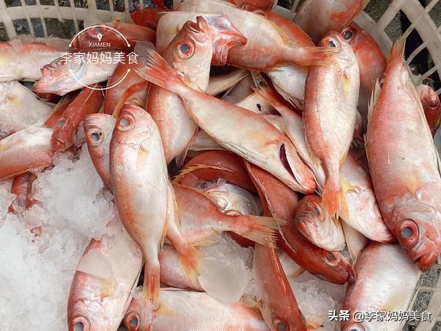 泉州休渔期什么时候结束,泉州休渔期2022时间表