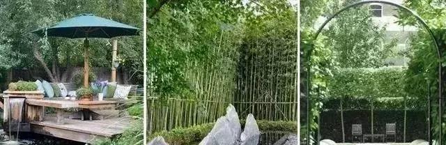 庭院景观设计最佳布局,庭院花园景观风水设计