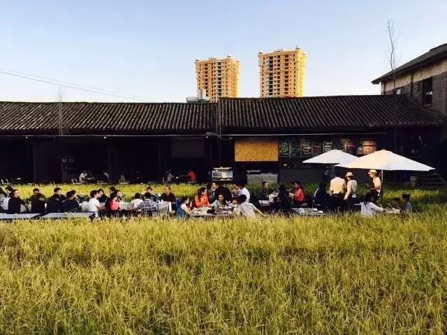 广州增城区宛若故里稻田里民宿,清远稻田田野民宿