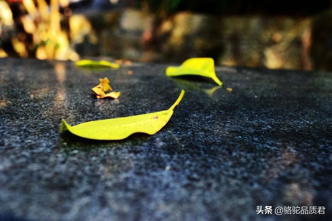 厦门海边之旅,厦门小众旅游体验