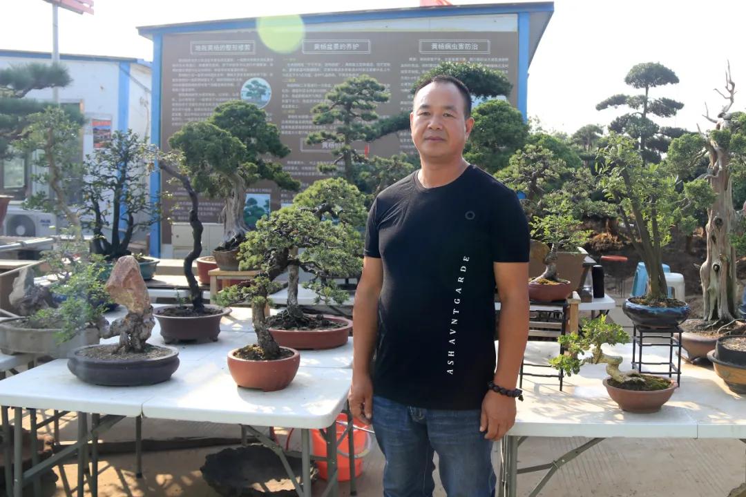 花木盆景活动,秋冬季花木节盆景展