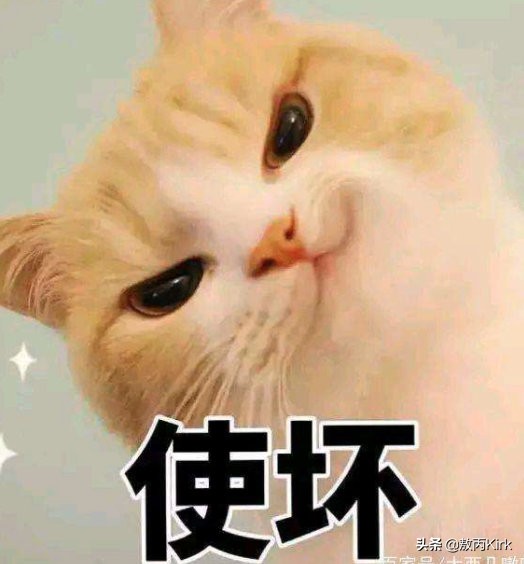 阿里程序员发现漏洞,阿里程序员的崩溃瞬间