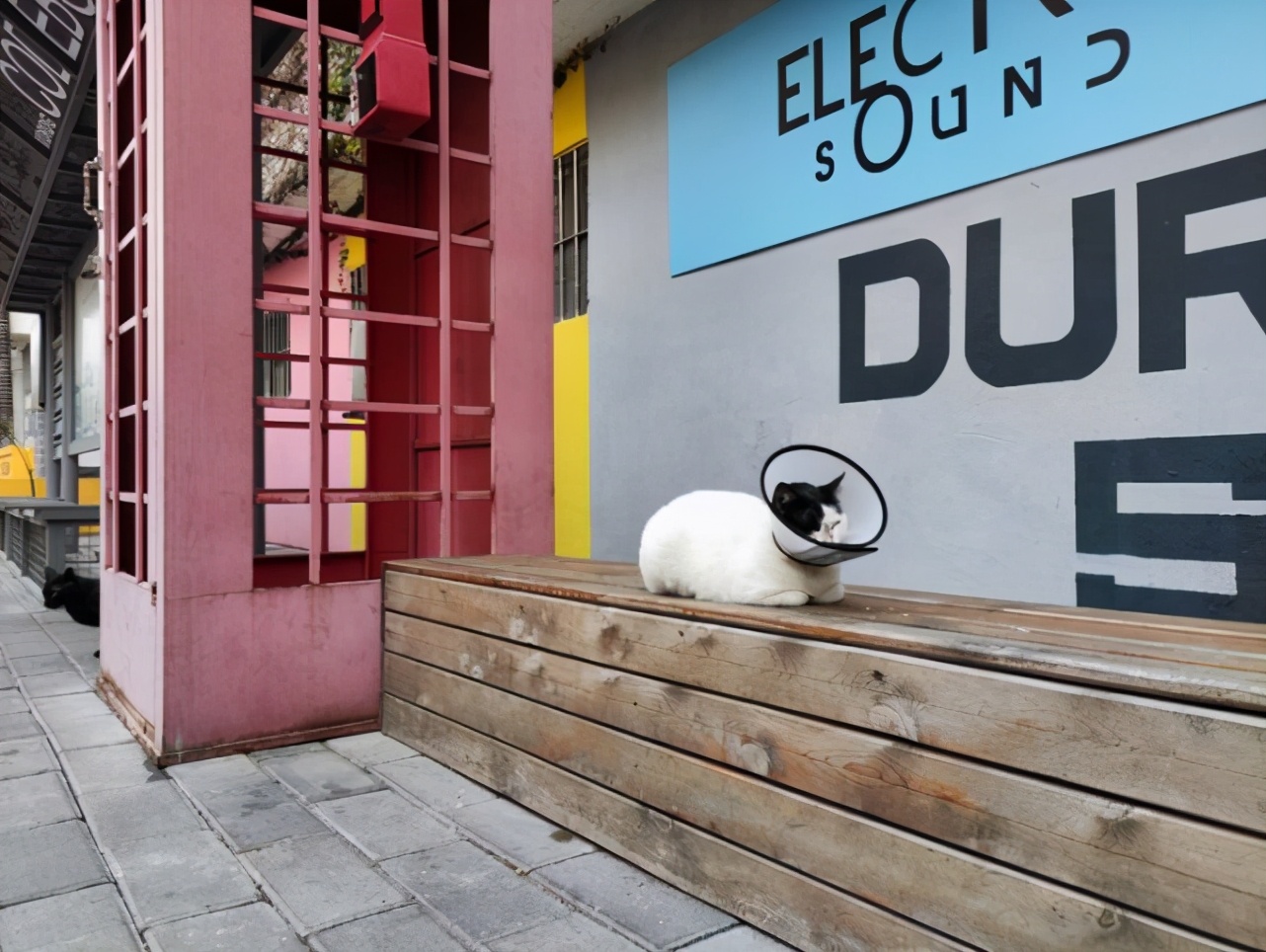 红米k40pro一分钟掉20个电,红米k40pro一分钟掉一格电正常吗