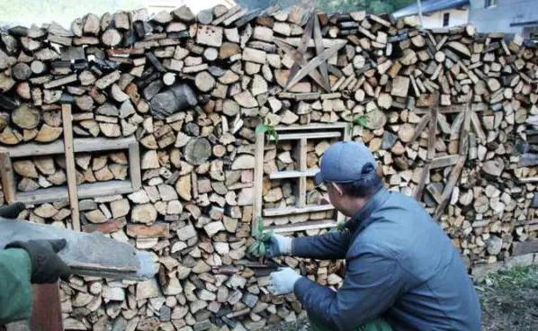 有人收玉米芯吗多少钱一斤,有人专门去农村收旧木头