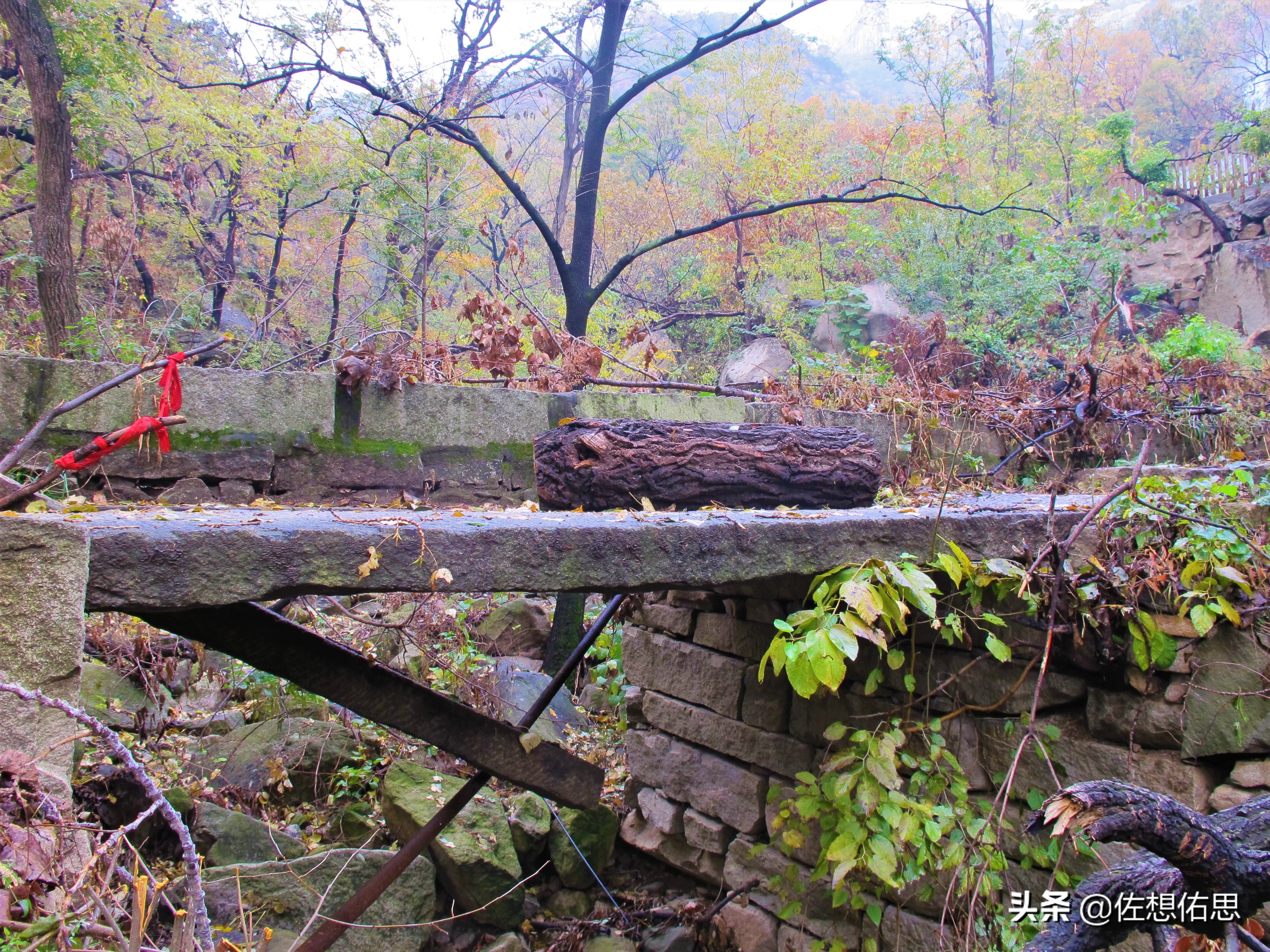 泰安扇子崖免门票吗,扇子崖门票多少钱