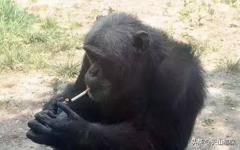 乌鲁木齐90后的南门回忆,乌鲁木齐人民公园记忆