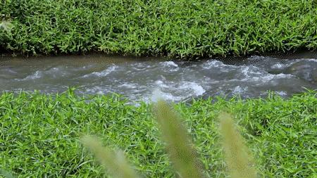 深圳好玩景点地铁路线,深圳好玩免费景点地铁直达的