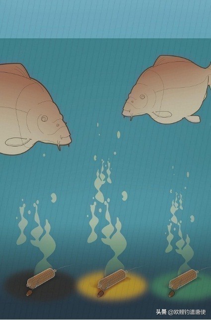 老外钓鱼打窝,老外打窝钓鱼视频大全