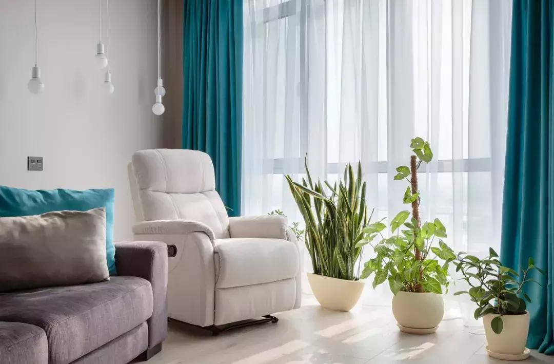 买窗帘被一坑再坑,买窗帘怕被坑4招帮你省一半钱