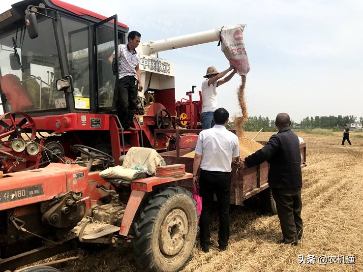 新疆8号小麦收割机,新疆8号小麦收割机收割视频