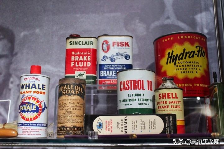 300万头鲸鱼的悲歌，欧美和日本的黑暗捕鲸史，它们驮着欧美文明