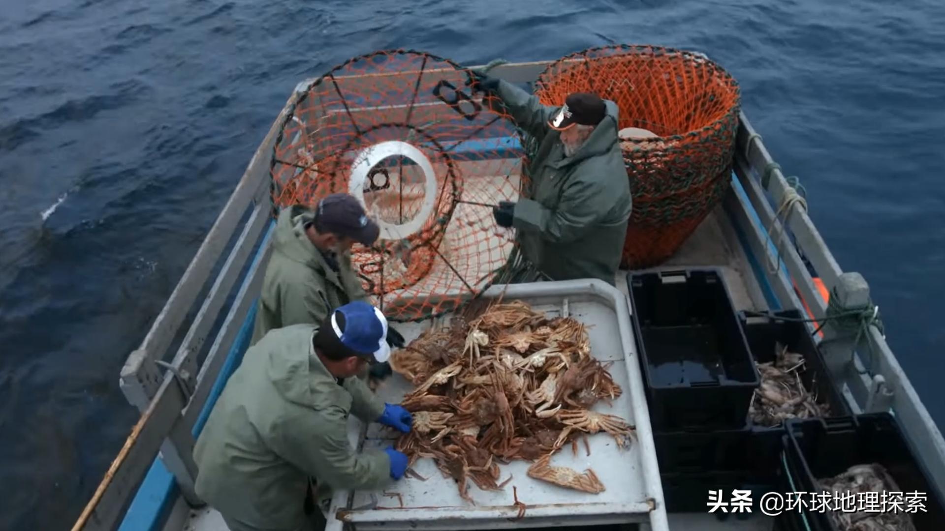 印度和加拿大英联邦国家,加拿大国家分布图