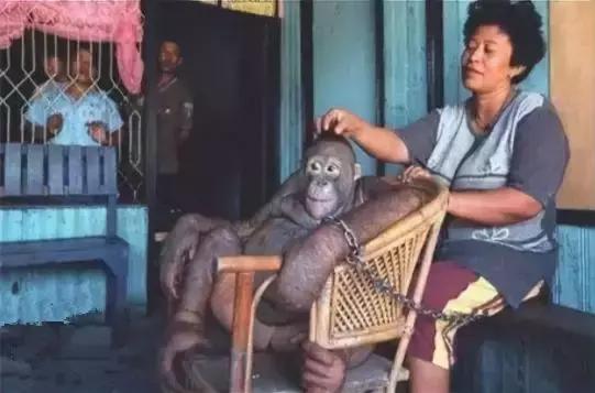 她被非人囚禁6年做*奴性**，每天擦口红喷香水……人性有罪恶极限吗？