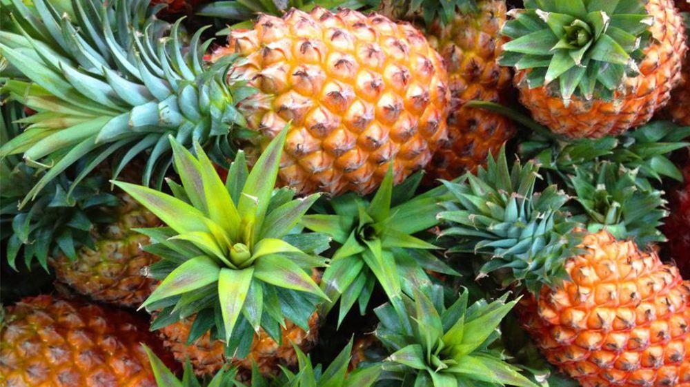 吃菠萝必须要用盐水泡一泡吗,吃菠萝的时候为什么要用盐水泡