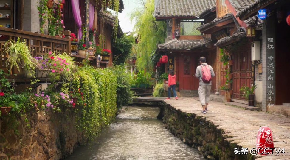 现在的丽江有多吸引人,丽江是一座来了上瘾的城市