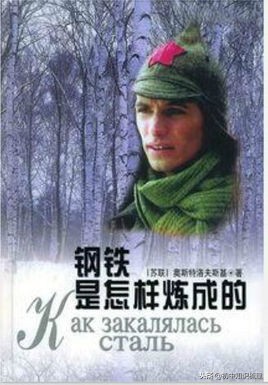 钢铁是怎样炼成的语文名著导读,钢铁是怎样炼成的名著阅读重点